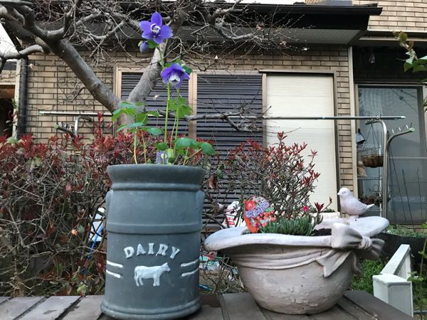 rblog-20180328191849-06.jpg