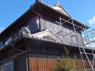DSCF1396.jpg