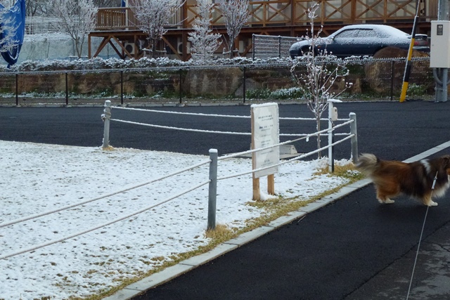 P1020386 - コピー.JPG