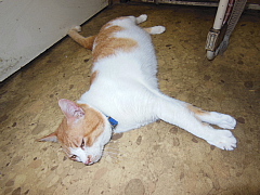 conv0537.JPG