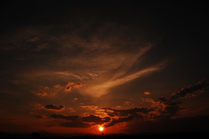 D40 359.jpg