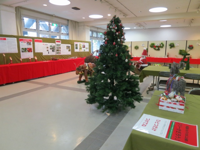 ツリー飾ろう♪