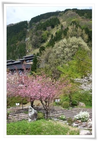 パーク獅子吼-1 15.4.22