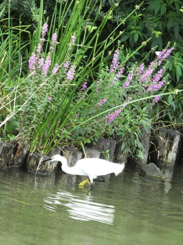 小池公園にて