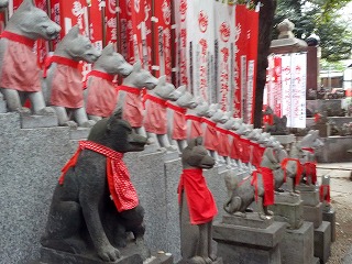狐４.jpg