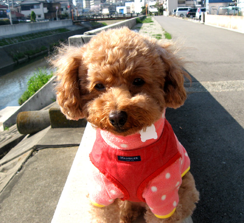 こころの