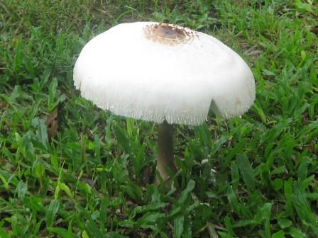 IMG_3076.JPG