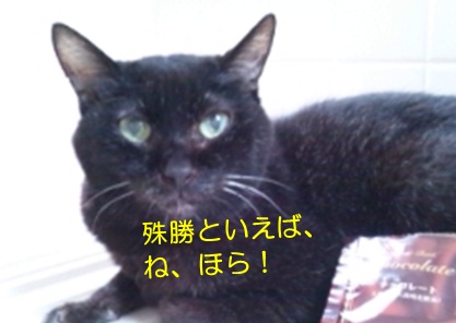 20120806_2.jpg