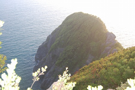 s-DSC_0605.jpg