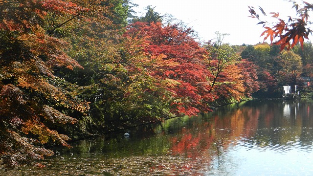 DSCN5431.jpg