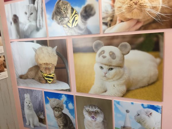 rblog-20180212173543-02.jpg