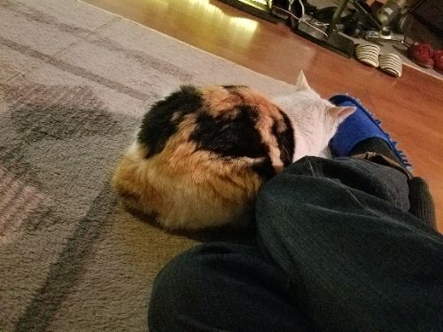 rblog-20180408092422-08.jpg