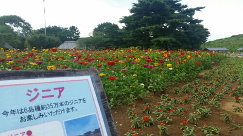 rblog-20160814225810-08.jpg