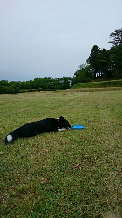 rblog-20150629100442-01.jpg