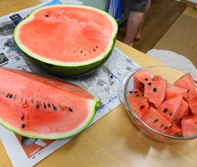 すいか３.JPG
