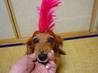 覇者らぶおぅ！
