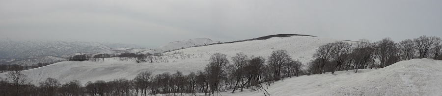 DSC00601 - 900x197