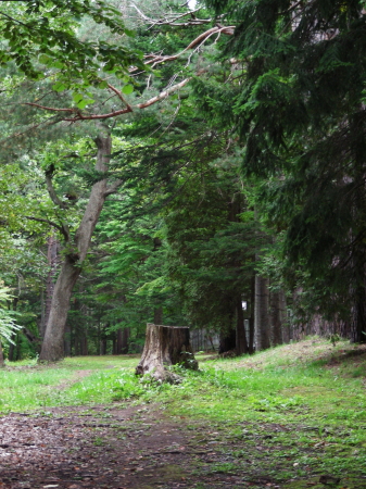 2017-09-11uramichi (1).JPG