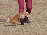 20121104132149[1].jpg