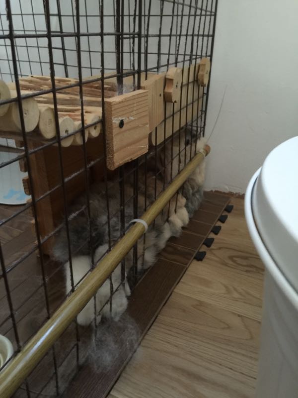rblog-20160819155946-01.jpg