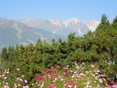 hakuba3.jpg