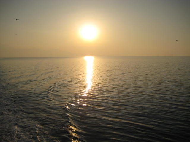IMG_0206.JPG