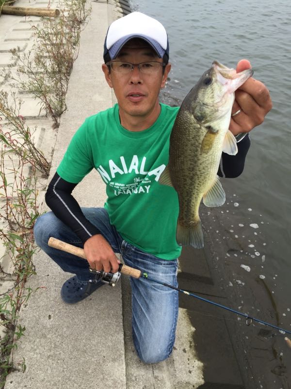 rblog-20150924205624-02.jpg