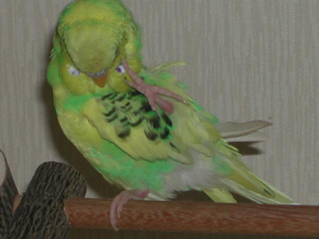 DSCN0763.jpg