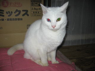 5z9797.jpg