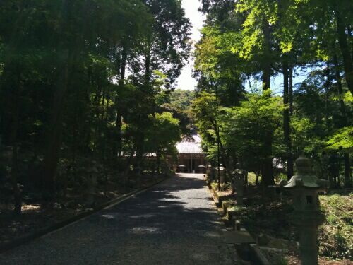 rblog-20170706115639-02.jpg