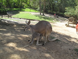 IMG_5238.jpg