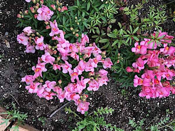 rblog-20170626174955-02.jpg