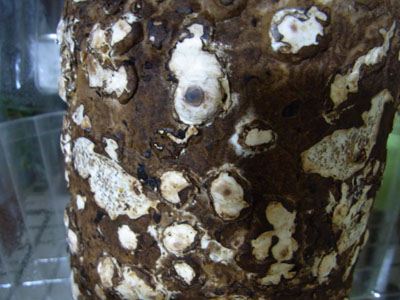 RIMG0105.JPG