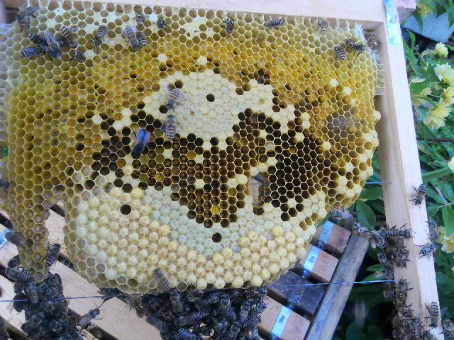 2013042722250001.jpg