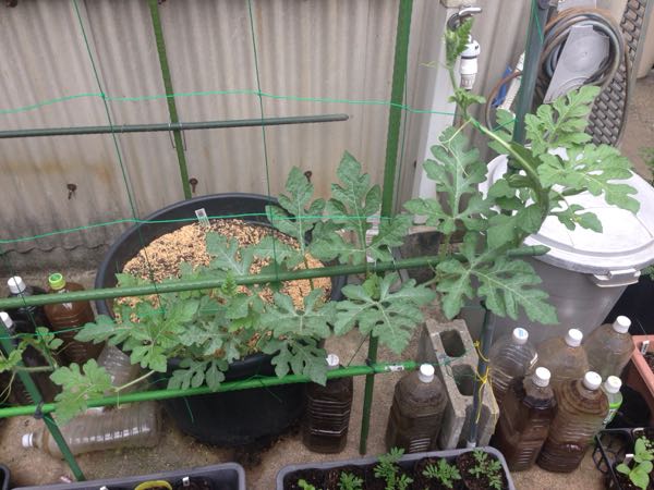 rblog-20160529201927-01.jpg