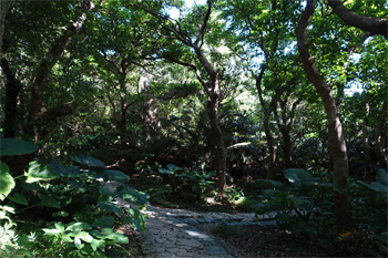 沖縄285.jpg