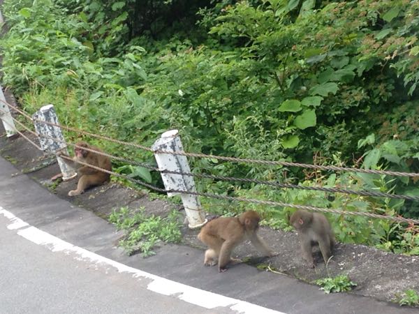 rblog-20150819164251-03.jpg