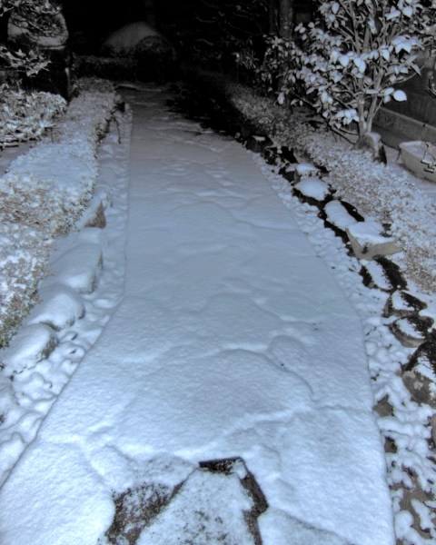 雪景色