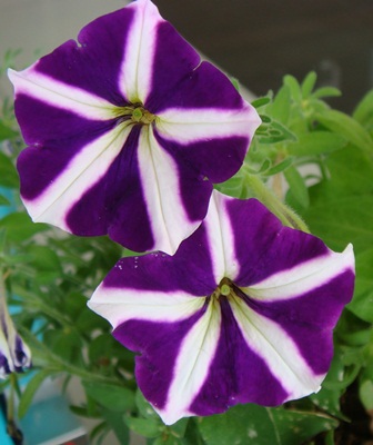 DSC06301.JPG