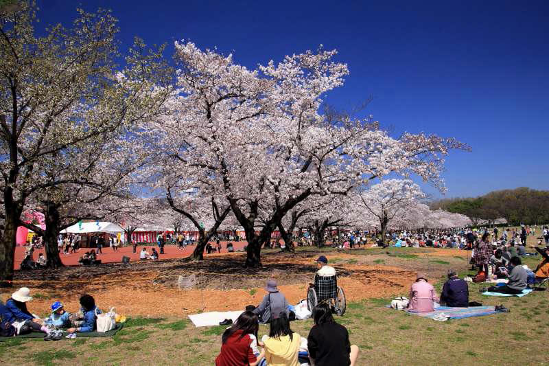 万博記念公園_003.jpg