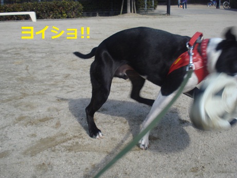 DSC04112.JPG