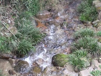 DSCF2834.jpg