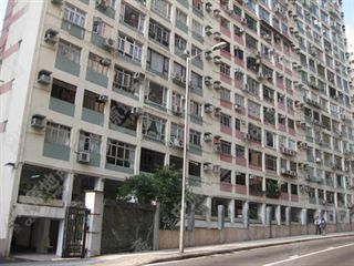253315EE4BF78616A96B7869B5F4-5.jpg