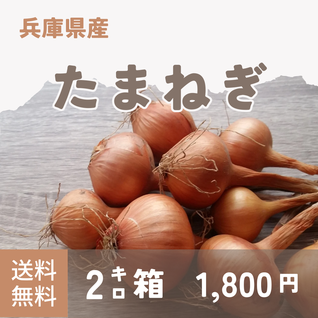 推し商品ブログ