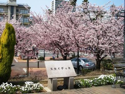 スカイデッキ.jpg