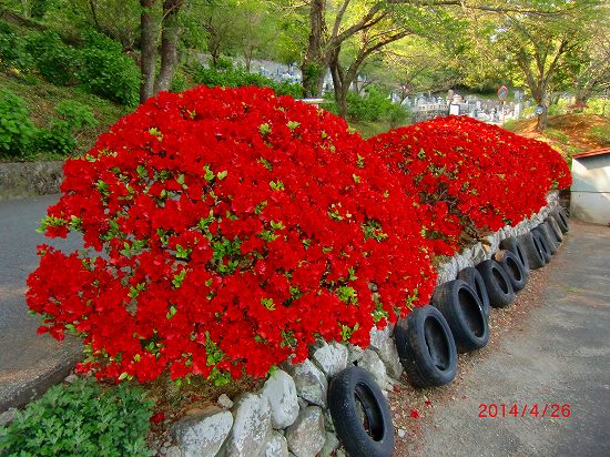 花、再び、、、 023.jpg