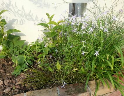 rblog-20140728132558-02.jpg