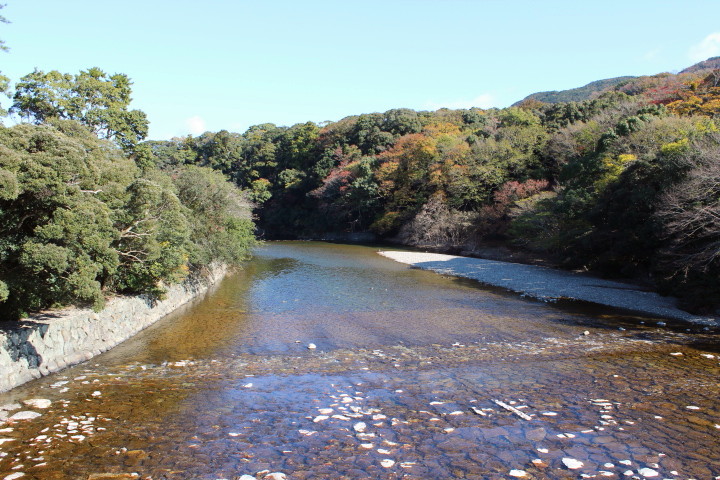 IMG_7032.JPG