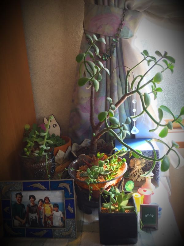rblog-20160322133352-04.jpg
