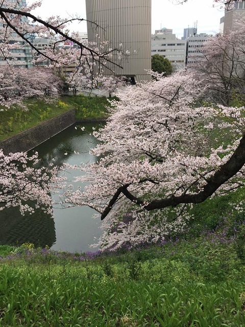 皇居1.jpg